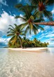 © Pixel Diversity - Tropical landscape beach wallpaper summer wallpaper beach background tropical nature