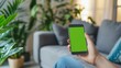 © vannet - person holding smartphone with green screen in cozy living room.