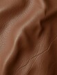 © Kathy - Rich, deep brown leather with subtle wrinkles and a matte finish, material, full frame