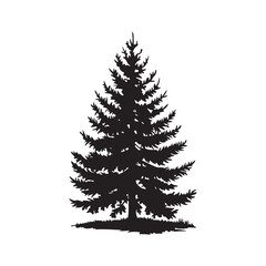 pino tree silhouette vector illustration