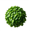 © 3D PIXEL - Green leaves sphere. Ecology and nature concept.
