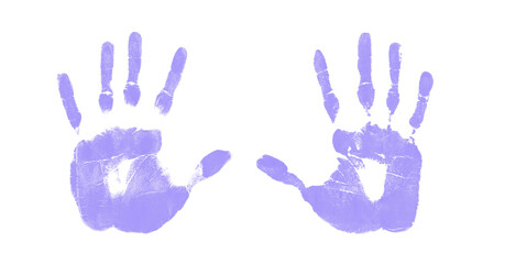 Wall Mural - purple hand prints on a transparent background,  human palm and fingers isolated on a white background