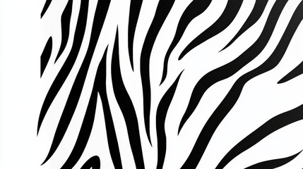  black and white zebra stripe vector --