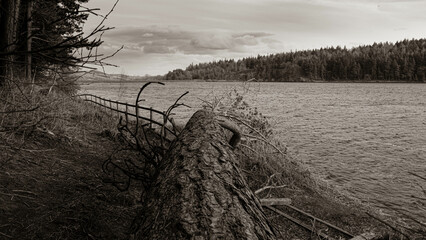 Canvas Print - Serene reservoir landscape