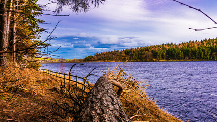 Canvas Print - Serene landscape with reservoir and trees