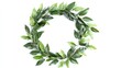 © Serhii - Laurel Chaplet Isolated on White with Award-Winning Bay Leaf Design and Clipping Path