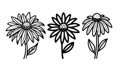 Wall Mural - Black-and-white daisy flower line art trio, A set of three daisy flower illustrations in black-and-white line art, featuring detailed petals, leaves, and clean, symmetrical designs.
