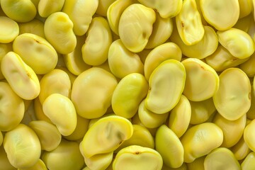 Wall Mural -  Big amount of yellow raw fava beans. Image illustrated food for advertisement