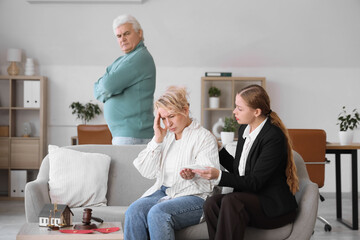 Wall Mural - Female divorce lawyer giving tissues to crying mature woman in office