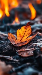 Wall Mural - Leaf Burning in Fire. Autumn, Nature, End, Change Concept