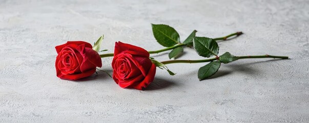 Sticker - Minimal floral idea. Two elegant red roses gracefully resting on a textured surface, symbolizing love.