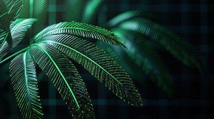 Fototapete - Greenery palms idea. Close-up view of lush green palm leaves with intricate textures and vibrant colors.