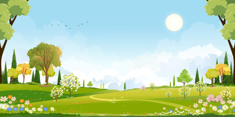 Wall Mural - Spring landscape background,Cute Village with meadow, rural road on hill, blue sky ,could in sunny,Vector cartoon horizon Summer landscape, Panoramic countryside with mountains with wild flowers field