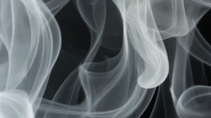 Wall Mural - Abstract Swirling White Smoke with Small Spheres Against a Black Background