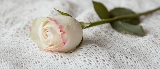 Aufkleber - White rose bud with pink edges on a green stem lying on a delicate white knitted napkin creating an elegant and serene composition
