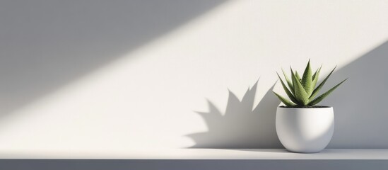 Poster - Minimalist composition of potted plant and white paper illuminated by sunlight creating soft shadows on a serene background