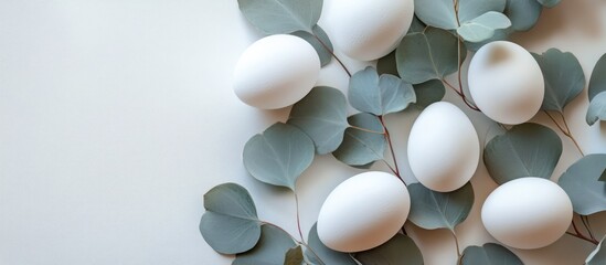 Poster - White Easter eggs arranged on eucalyptus leaves creating a serene and elegant springtime decoration background