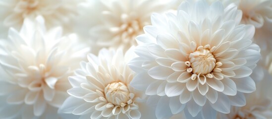 Aufkleber - Elegant white floral arrangement for restaurant table decoration enhancing ambiance and aesthetics in dining settings.