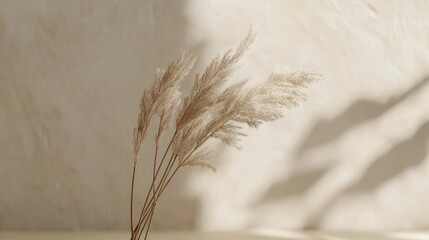 Poster - Elegant white invitation card mockup with dried grass accent on a soft beige table showcasing a minimalist design aesthetic.