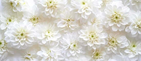 Aufkleber - Elegant white flowers arranged for table decoration in a restaurant setting for a serene dining atmosphere and elegant ambiance.