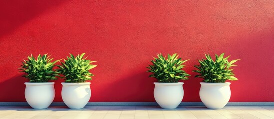 Poster - Modern potted plants against a bold red wall ideal for stylish interior design aesthetics and contemporary home decor inspiration