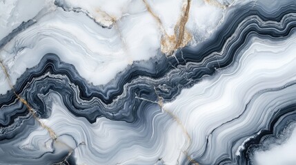 Poster - Elegant black and white marble texture with natural patterns ideal for luxurious tile design and sophisticated interior backgrounds