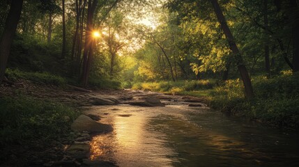 Leinwandbilder - Golden hour serenity along a tranquil stream with soft sunlight filtering through lush trees in a peaceful natural setting.
