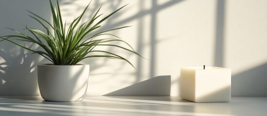 Aufkleber - Candle and houseplant arrangement on soft gray background creating a serene and cozy interior decor atmosphere suitable for home styling.