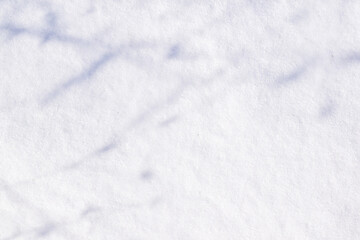 Wall Mural - Shadows of branches on white snow surface