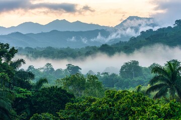 Wall Mural - Mountain range covered in dense mist at sunrise.