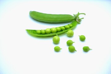 fresh green pea pod shells just picked from garden