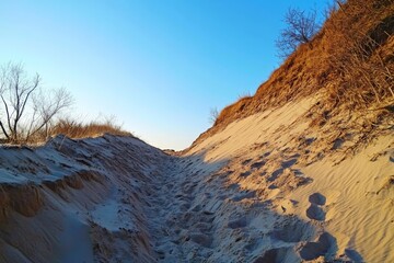 A quiet sandy path winds through towering dunes, bathed in the soft morning light, offering a peaceful and inviting journey toward the distant shoreline.