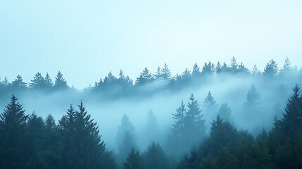 Wall Mural - Misty Morning: Photograph a pastel-blue sky over a foggy forest