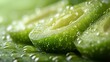 © MINHOO - Refreshing Green Slices: A Macro Photography of Dew-Kissed Cucumber