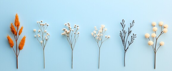 Wall Mural - Six dried floral stems in autumnal, winter, and spring colors arranged on a light blue background.