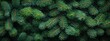 © Alla Bondaruk - A top view of lush Christmas tree branches, showcasing vibrant greenery during the festive season in a cozy indoor setting Happy New Year and Merry Christmas happy new year, background, banner
