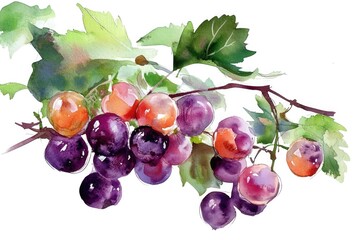 Sticker - A bunch of grapes hanging from a branch, ripe and ready for harvest