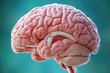 © Vii - A detailed image of a human brain set against a blue background, ideal for use in educational or scientific contexts