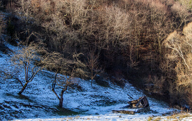 Wall Mural - Winter in Paltinis, Romania