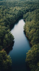 Wall Mural - Tranquil forest lake surrounded by lush greenery on a calm day in nature