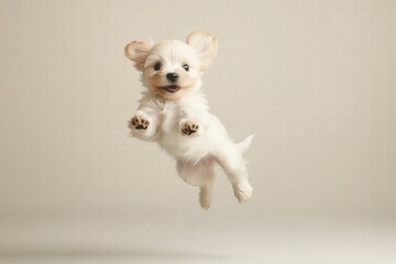 Poster - Joyful puppy leaps in mid air with excitement and playful energy in a bright and open space. Generative AI