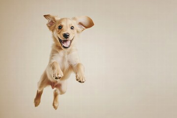 Poster - Joyful puppy leaps in mid air with excitement against a neutral background for mock up text placement. Generative AI