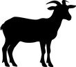 © vadymstock - Black silhouette of a goat standing with visible horns.