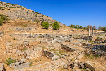 Wall Mural - A barren landscape with a few trees and a blue sky. Ruins of the ancient city of Philippi, Greece