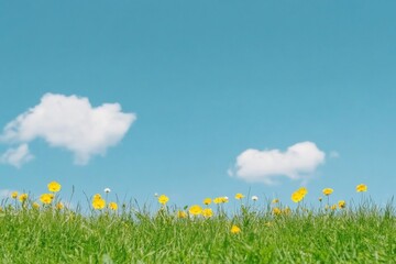 Wall Mural - Serene Spring Meadow Under Blue Sky with White Clouds