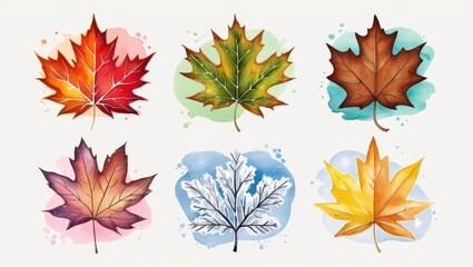 Wall Mural - Watercolor Autumn Leaves Four Seasons Nature Fall Plants