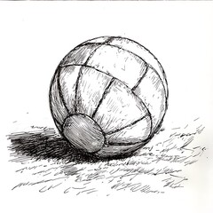 Wall Mural - Ink Drawing of a Volleyball on Grass.