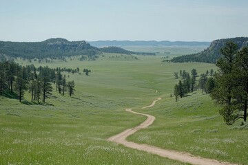 Poster - Scenic winding dirt road through a vast, green prairie landscape with distant hills under a clear blue sky.