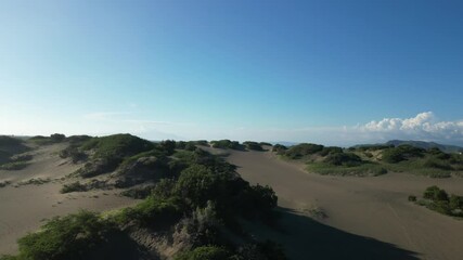 Canvas Print - Drone footage over a black sand dunes with green plants under a blue sunny sky