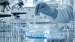 © Achirawee - A photostock of a Petri dish with bacterial cultures in a laboratory